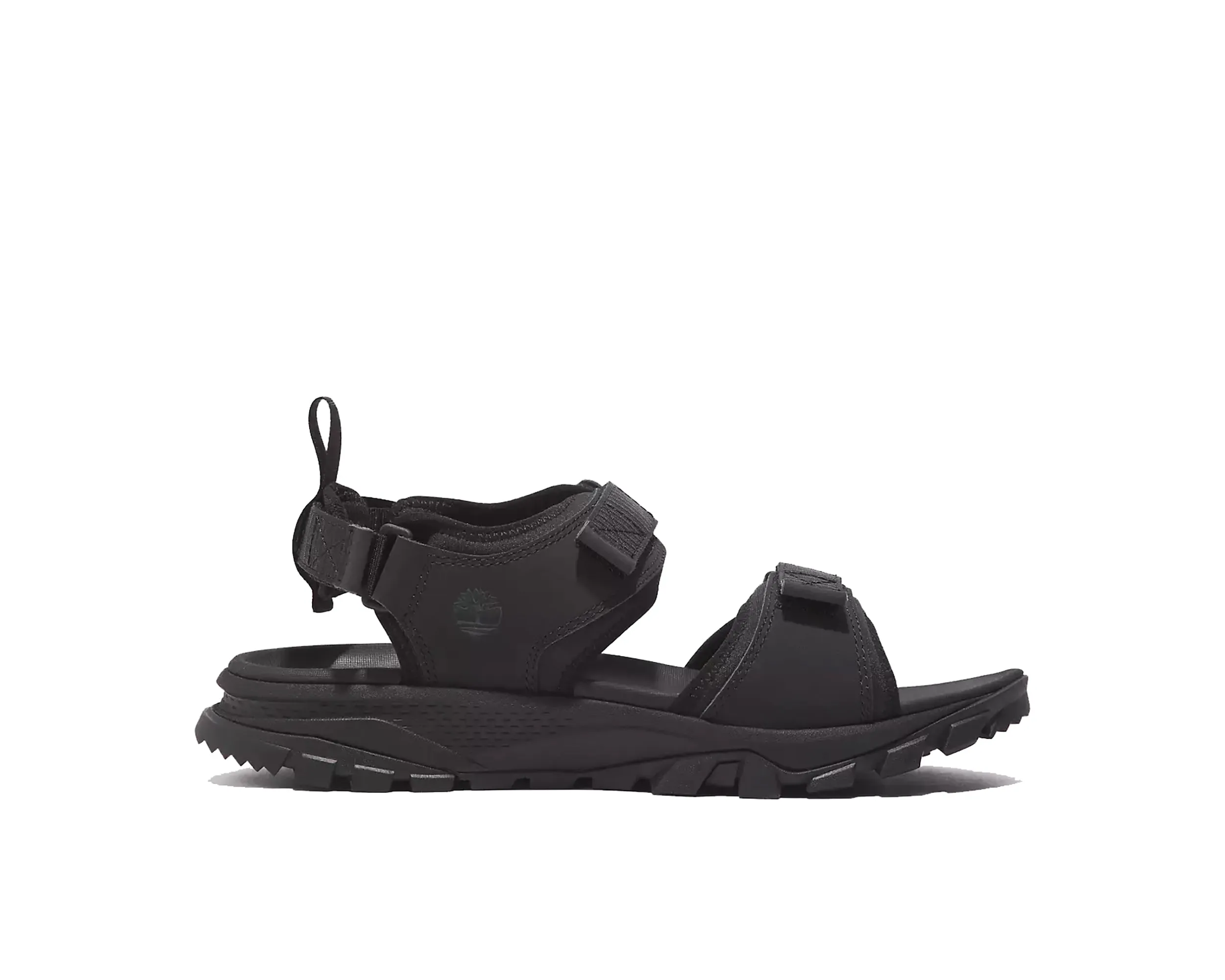 Women`s Lincoln Peak 2-Strap Sandal